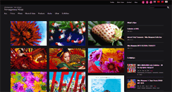 Desktop Screenshot of ninamika.com